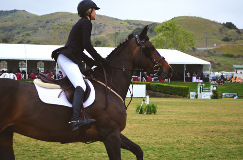 grand prix at the blenheim spring classic III, 2013.