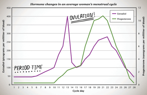 highlandfamilyplanning:
“ What’s the deal with hormones, anyway? Got questions about how hormonal methods of birth control work? Why some people on hormonal birth control don’t get their periods? Click the picture above and read an interesting...