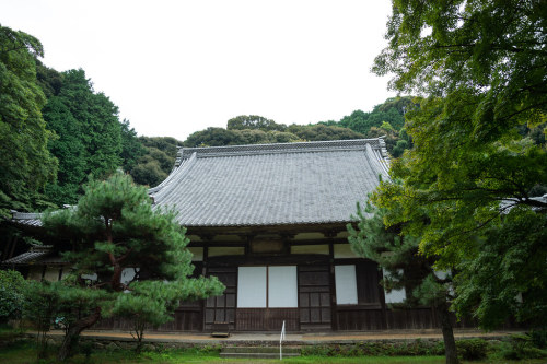 bonguri