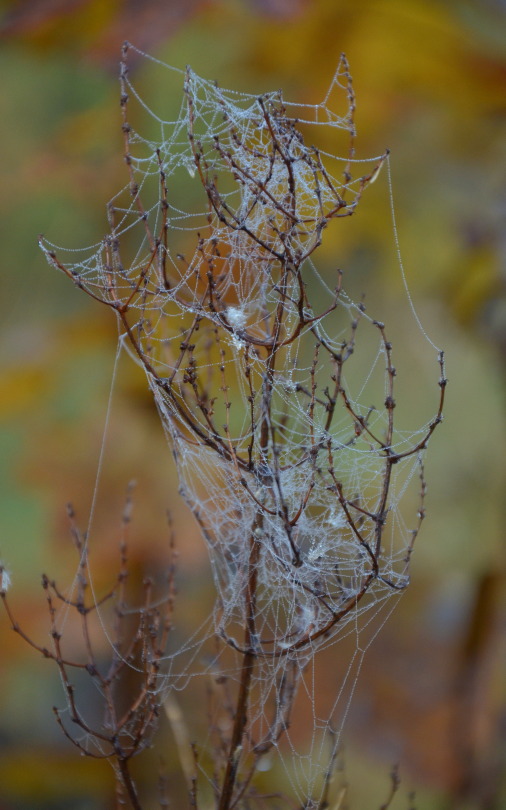 annnphoto