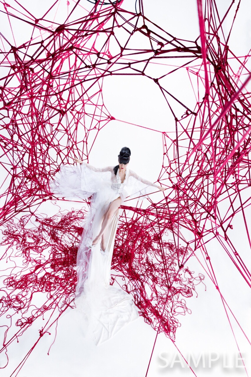 hajimekinoko:  I will do my exhibition “Red” in Baltimore. 5/5-14 This series