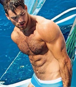 Love Hairy men