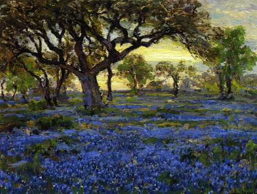 Old Live Oak Tree and Bluebonnets on the West Texas Military Grounds, San Antonio, 1920, Robert Juli