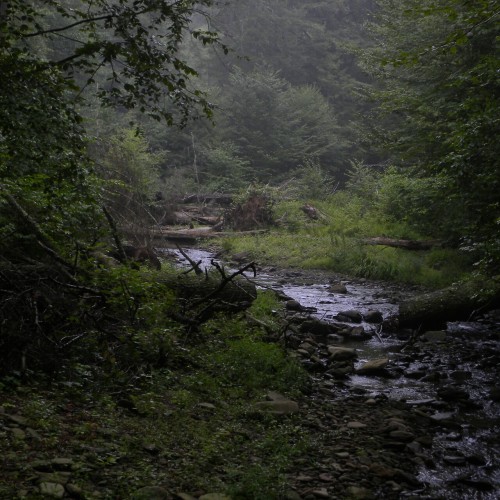 aetheric-aesthetic:River Wild PineRicketts Glen State ParkAugust, 2014One of my all time favorite hi