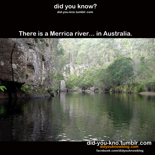 did-you-kno:  Source
