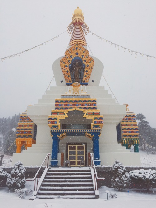 The Great Stupa of Dharmakaya in the snow. Tonight I got to hike up here with the lovely Kaleigh and