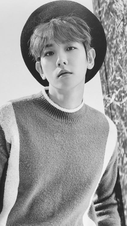byun baekhyun wallpapers {for cellphone}like if you saverequest more hereenjoy!
