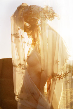 amandacharchian:  SOLAR VEIL 