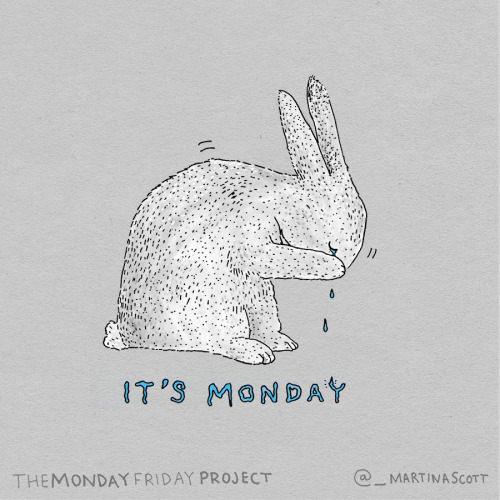 This rabbit needs some Monday motivation