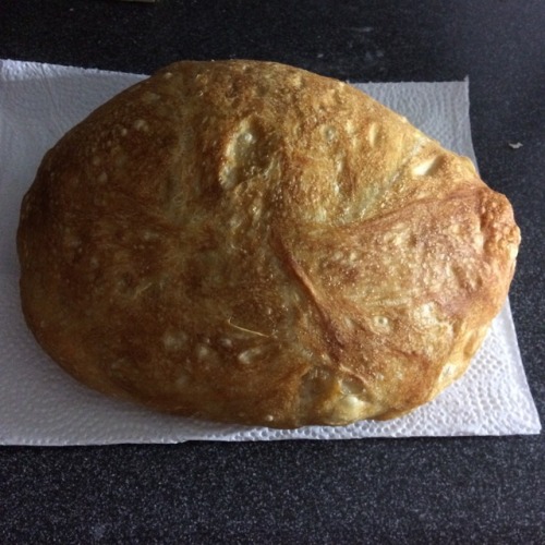 copperbadge:I haven’t made no knead bread in like a year and I forgot a) how wet it is before you ba