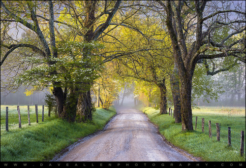 Cades Cove Great Smoky Mountains National Park - Sparks Lane by Dave Allen Photography on Flickr.