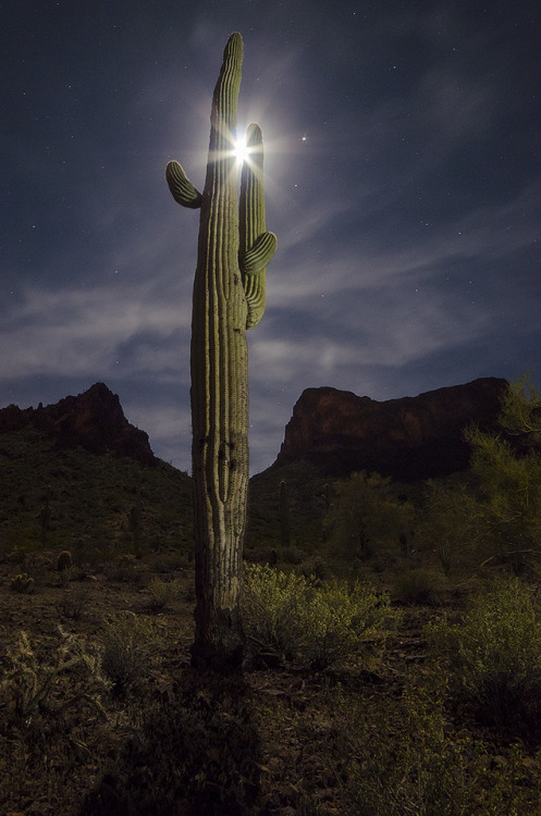 I made a trip out to Picacho Peak recently during the full moon. Surprisingly, this was my first tim