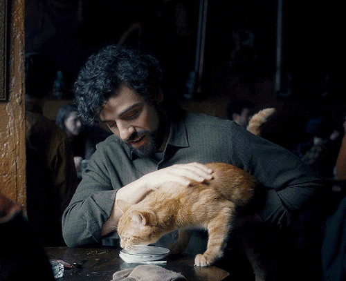Inside Llewyn Davis (2013) Dir. Joel And Ethan Coen