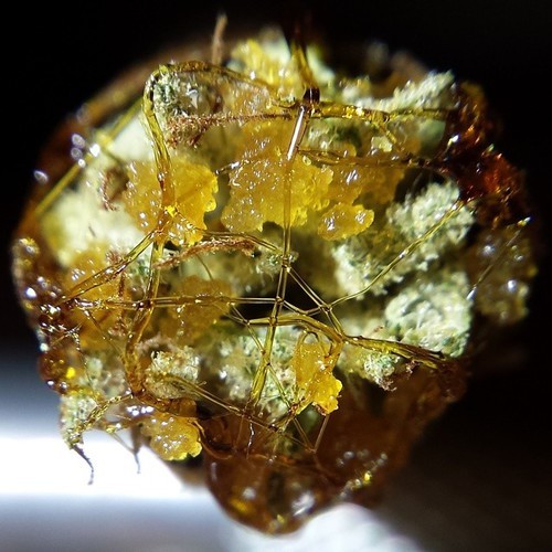 cannabis-lush:  Shatter-Web, it’s gorgeous 