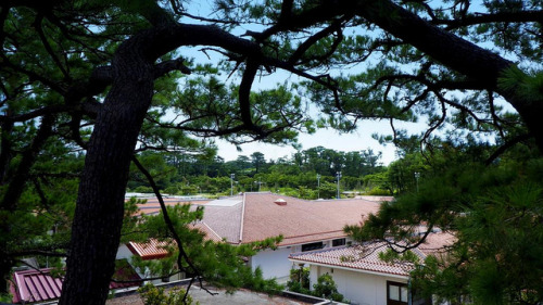 AIRAKU-EN &ndash; A Leper Colony Nestled Amongst the Coastal Pines and Hills of YAGAJI ISLAND on OKI