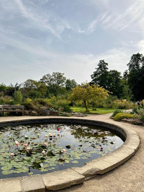 University Of Oxford Botanic Garden And Arboretum.