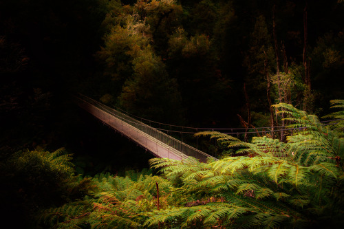An Abyss For A Vagrant Soul Adrift 