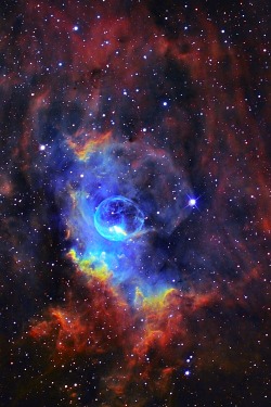 thedemon-hauntedworld:Bubble Nebula