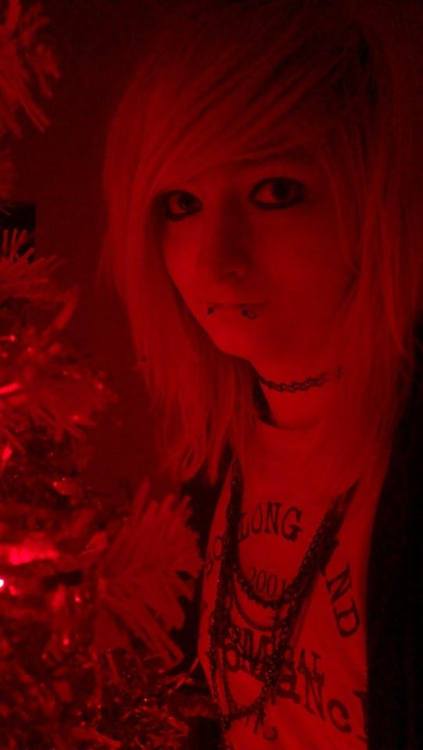 vikkineedspills:  This is about as festive as I get. Meow <3 x   Meow =^^=