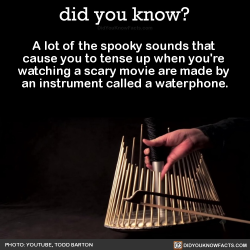 did-you-kno:  A lot of the spooky sounds that  cause you to tense up when you’re  watching a scary movie are made by  an instrument called a waterphone.  Source Source 2