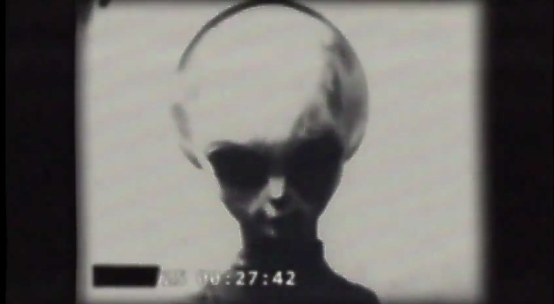 chaosophia218:  3 Species of Aliens and Their Relevance to Human Evolution.The Greys