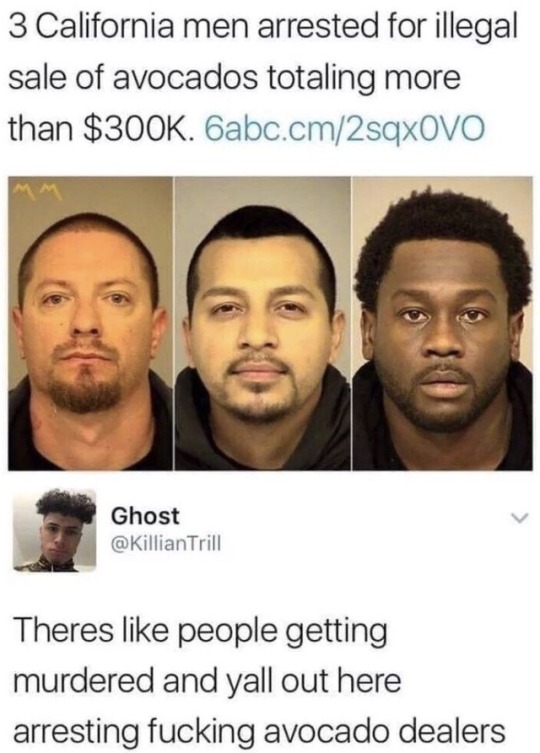 dankmemeuniversity: