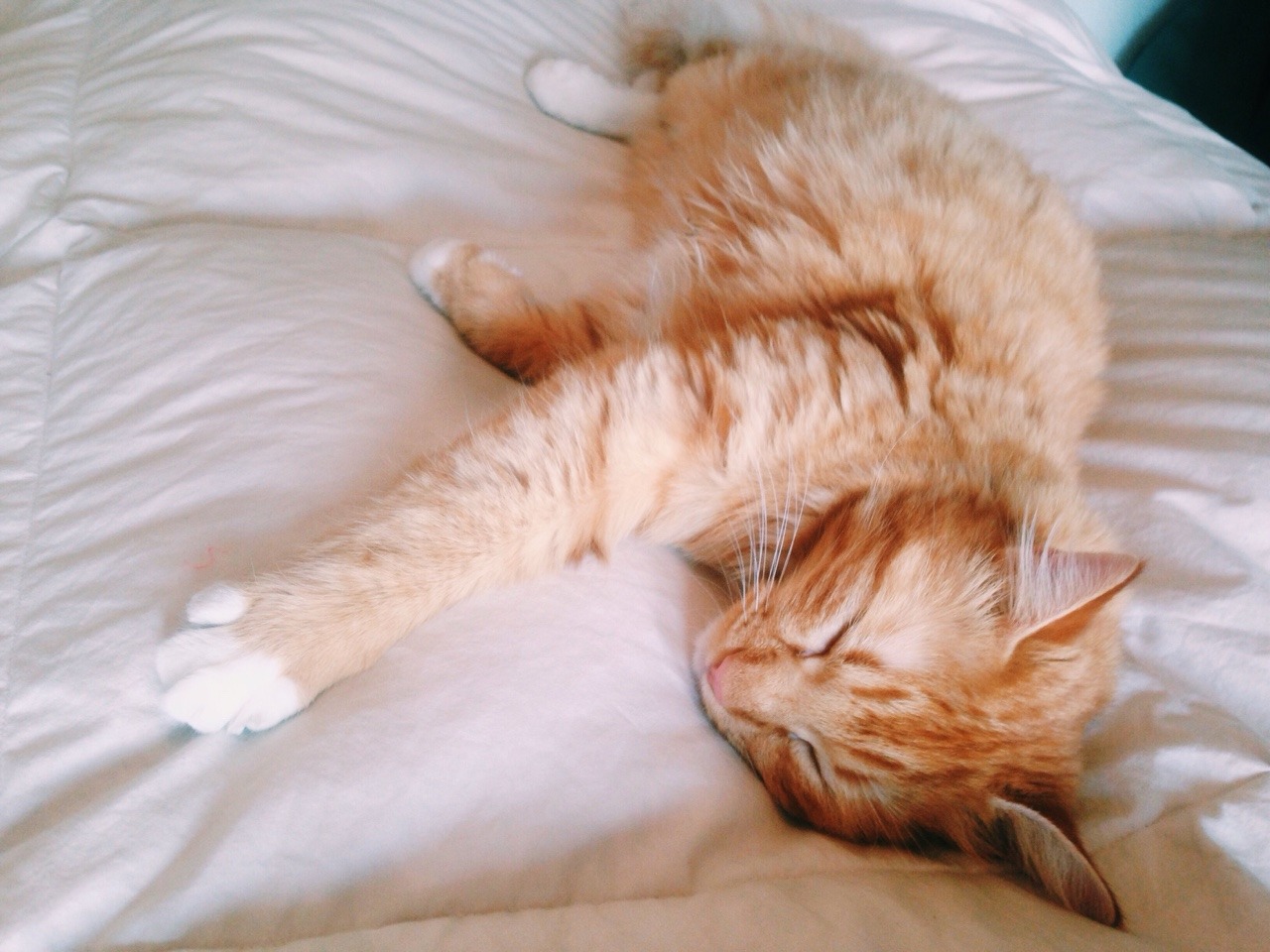 chubbygumm: /I love him so much/
