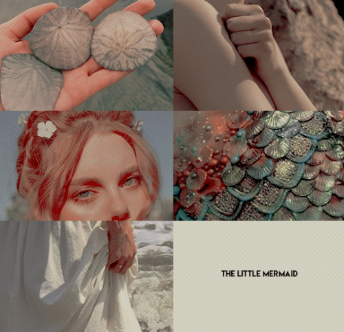 corneliahale:     – —     now he is certainly sailing above, he on whom my wishes hang, and in whose