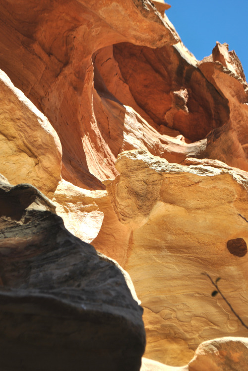 Capitol Reef National Park