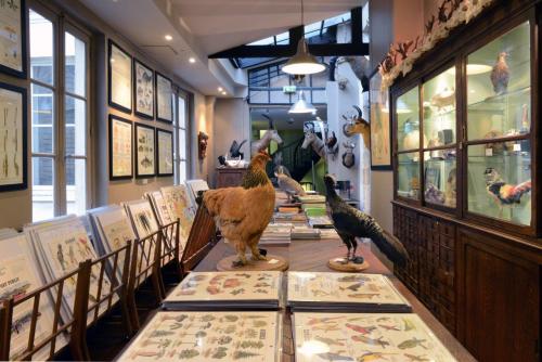 indefenseofart:One of my absolute favorite places in Paris: Deyrolle, a modern day Wunderkammer just behind Musée d’Orsay on the left bank. It was first established in 1831 by Jean-Baptiste Deyrolle from a passion for natural history and entomology
