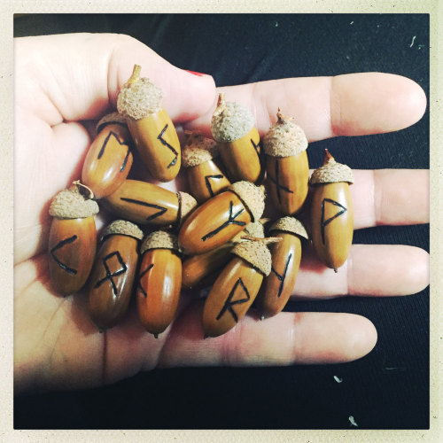 nimzamona:vitkispath:This is a listing of the Elder Futhark acorn runes that I make. This set comes 