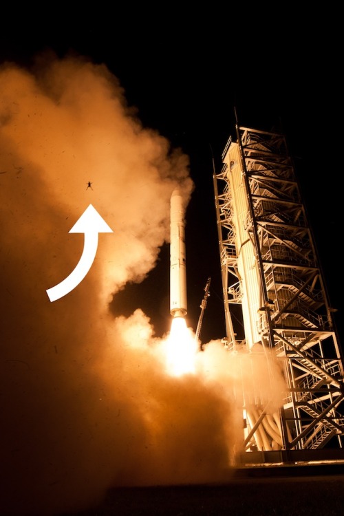 dadurl:  cory-doctorow:  theatlantic:  The Frog That Got Caught In the Crossfire of a Rocket Launch  On Friday evening, NASA’s Minotaur V rocket blasted off from its launchpad at a spaceport in Virginia, carrying the LADEE spacecraft on the first