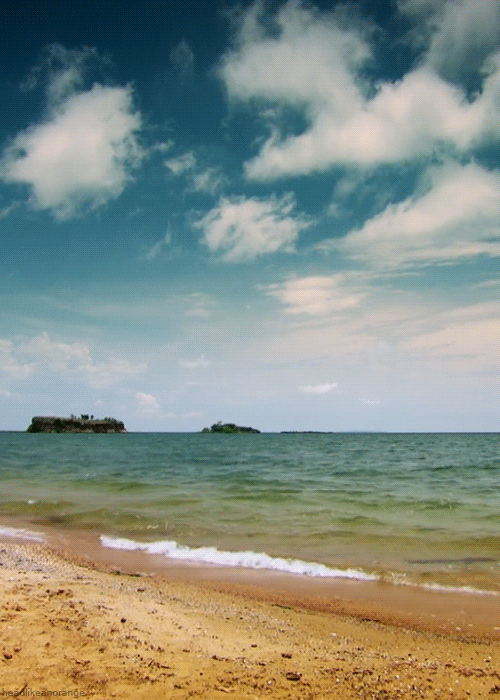 peterschlehmil: animatedAutumn seaside                  