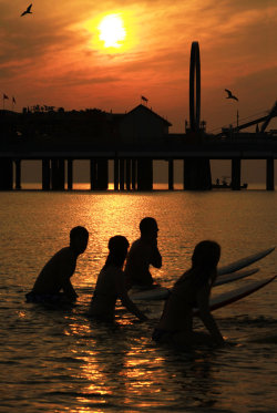 surfing-the-salt-life:  Four surfers at sunrise with the Galveston pleasure pier in the background makes for a pretty nice shot. Photo Credit: X 