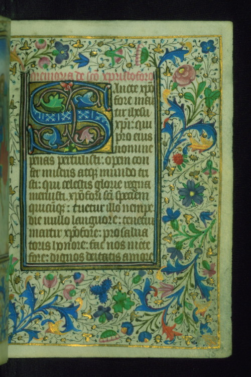 sexycodicology:Book of Hours, Initial, Walters Manuscript W.202, fol. 35r by Walters Art Museum Illu