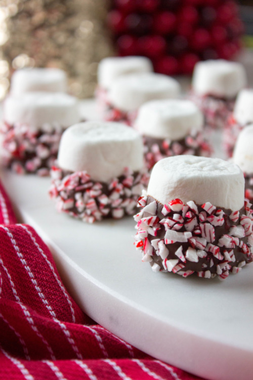 choccoberry: Chocolate Dipped Peppermint Marshmallows