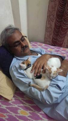 awwww-cute:  My dad doesn’t like cats,