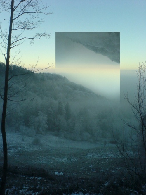 Reverse Squares in Nature by Victoria Siemer.(via Reverse Squares in Nature – Fubiz™)