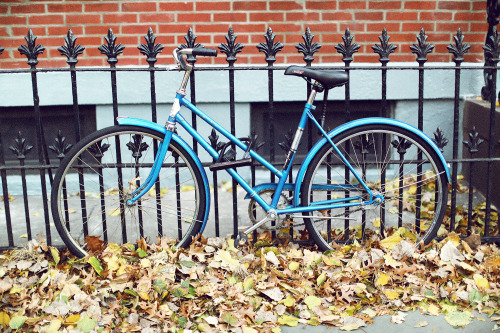 Blue bike, New York. 
