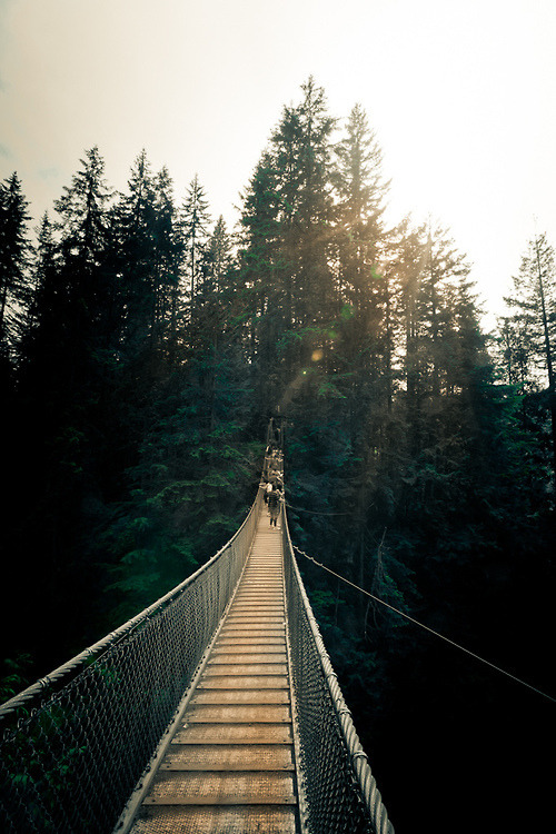 kushandwizdom:  Words of Emotion 