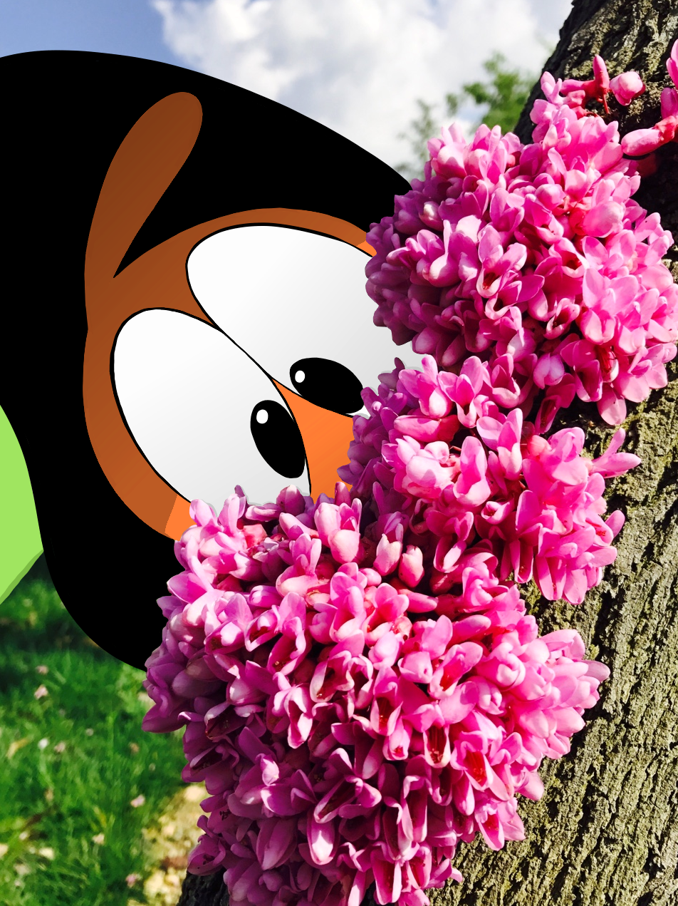 wanderin-over-yonder:  Wanderlust