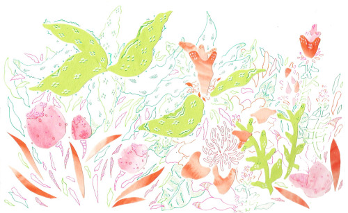 A5 drawing of some of the plants at the greenhouse in the New York Botanical Garden, from some sketc
