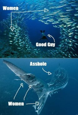 bratkitty:  fieldofyellowdandelions:  red3blog: Sooooo… is the message the Nice Guy™ photoshop wizard is trying to convey that “Good Guys” are an alien species that feels entitled to invade the women’s space for its own edification, while the