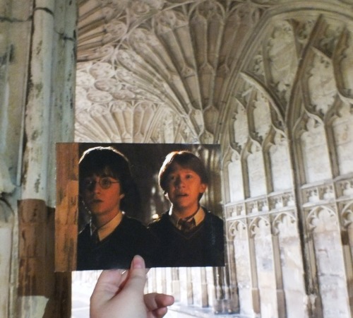 andmiralampersand: r-u-thunderstorms: The Cloisters at Gloucester Cathedral THIS IS THE BEST VERSION