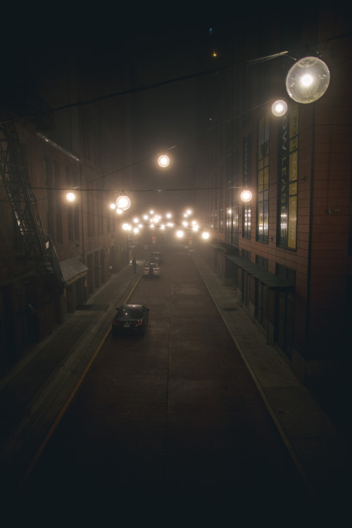 samhorine:foggy nights - october 2018