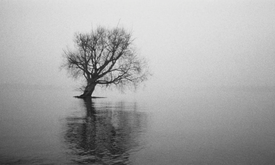 beingharsh:Wings of Desire (1987), dir. Wim Wenders