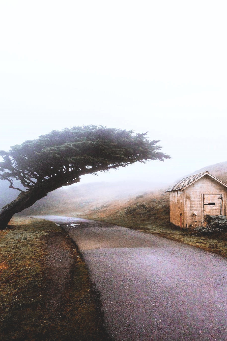 lsleofskye:  Lean with it | ryanresatka