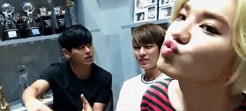 namsoogyu:  Hoya notice Sungjong was acting cute and immediately tell him to stop because it is his phone >^< 