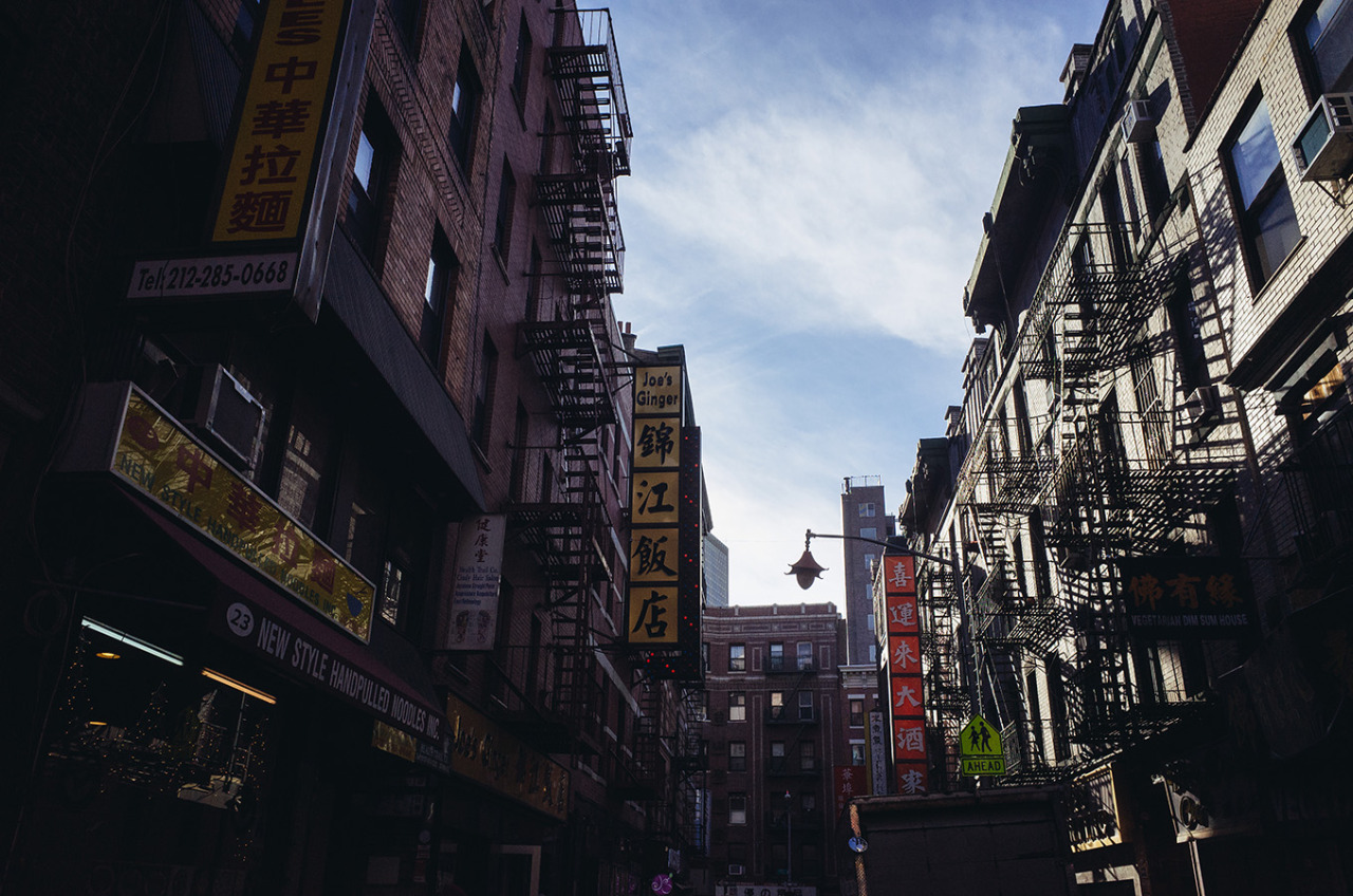 曼哈顿华埠
CHINATOWN
There is nothing quite like China Town.
Loud, noisy, and dirty, China Town represents the real New York.
It is a crush of humanity that is part tourist trap, part strip mall, and part dividing line.
Doyers Street, just a block long,...