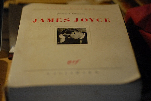 lbfdc:Richard Ellmann: James Joyce by alexisorloff on Flickr.